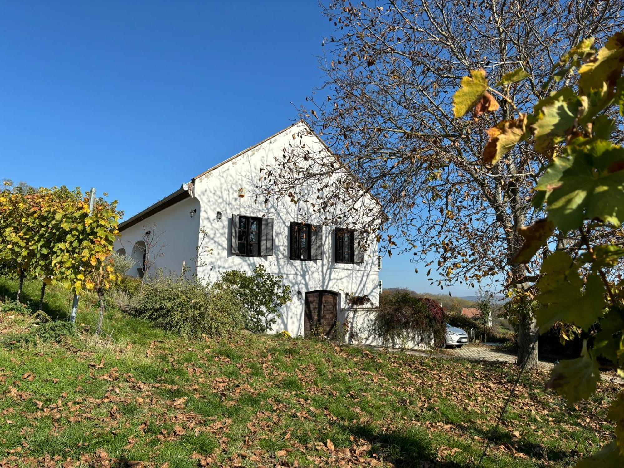 Kali Panorama Birtok Villa Mindszentkalla ภายนอก รูปภาพ
